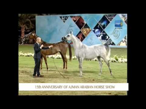 Ajman 2017 - Mares Ch