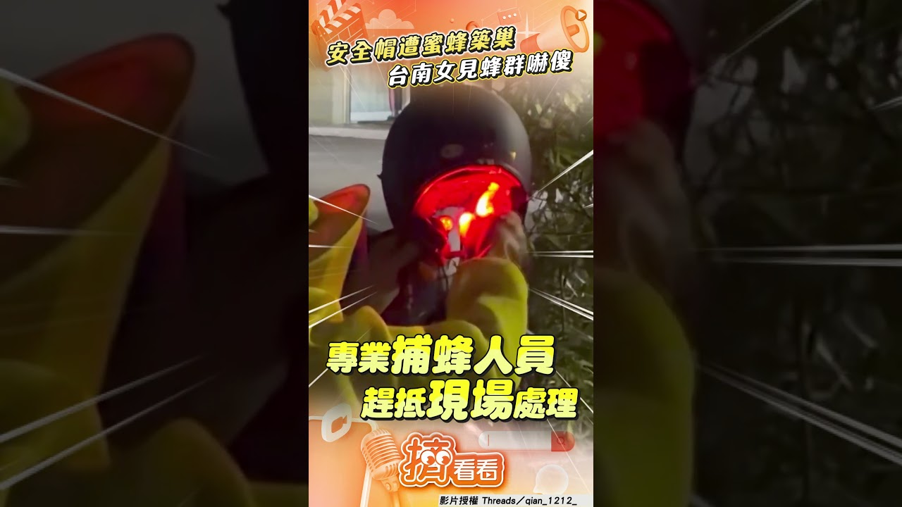 影音／台南蜂群築巢「塞爆安全帽」　女伸手刺痛驚見「千隻狂竄」