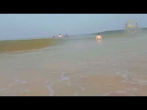 Goa beach video ✨❤