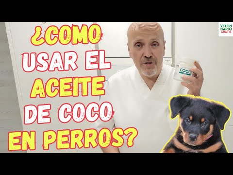 🥥 HOW TO USE COCONUT OIL FOR DOGS? 🥥