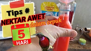Download lagu Tips for making nectar that lasts 5 days in a cup mp3 Download lagu Tips for making nectar that lasts 5 days in a cup mp3
