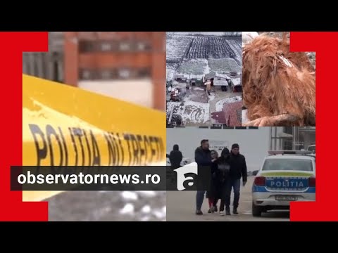 Minorii care şi-au ucis colegul de 15 ani au tăiat o găină ca să justifice urmele de sânge