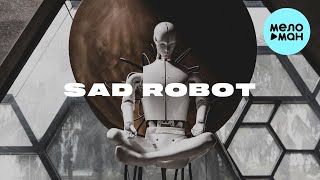 PVSHV - Sad Robot (Single 2022)