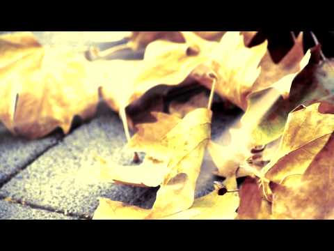 Cloud Control | There's Nothing In The Water We Can't Fight | Your Take Sessions