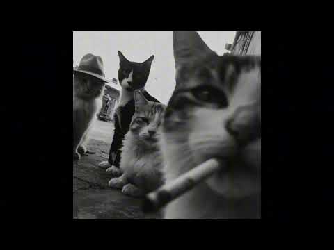 Dark Boom Bap Type Beat - "FIZZ" | old school beat