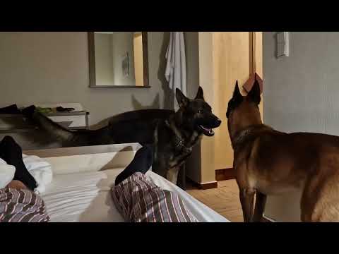 Improvised Sunday video on the occasion of training for the national championship