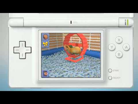 Les Sims 2 : Mes Petits Compagnons Nintendo DS