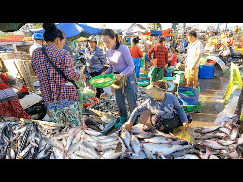 Amazing ! Khmer Food Market Scenes - Lively Fish, Dried Fish, Seafood & People Activities