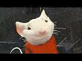 Stuart Little And The Forbidden Stew