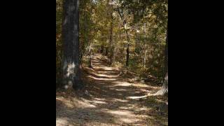 preview picture of video 'A Walk In the Woods, Bovina, Mississippi'