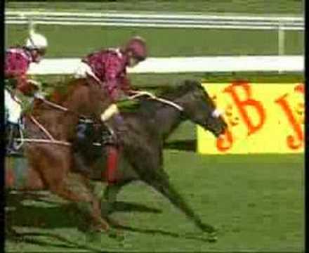 Russian Sage - Gr1 Investec Cape Derby 2008