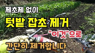 제조제 없이 텃밭잡초제거방법 "이것" 롱토치로 간단히 텃밭고랑 풀 제거합니다.