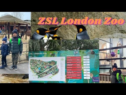 London Zoo tour 2023|A day at ZSL London Zoo|London Zoo walking tour|London Attractions|Blessed Home