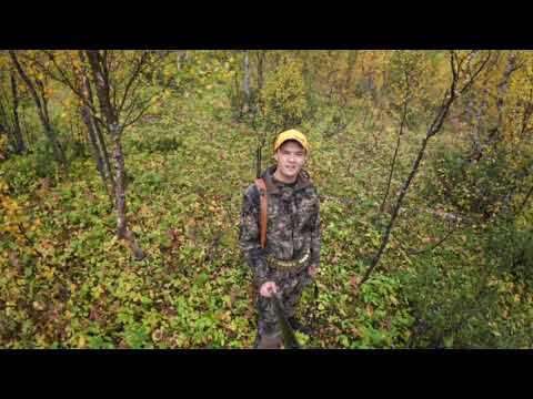 Hunting Grouse in northern Norway, part 2