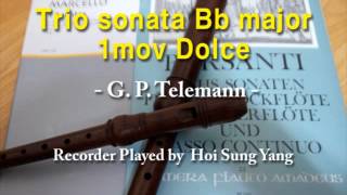 preview picture of video '[리코더연주] Telemann Trio sonata  Bb major 1mov Dolce'