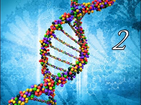 Na rubu znanosti - PJOTR GARJAJEV - LINGVISTIČKO VALNA GENETIKA (2. dio), 30.5.2016.