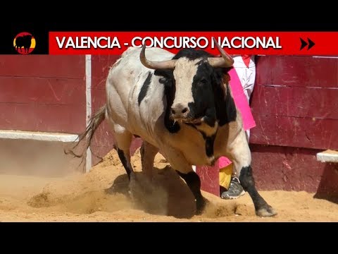 VALENCIA - XXIV CONCURSO NACIONAL DE RECORTADORES 17/03/2019