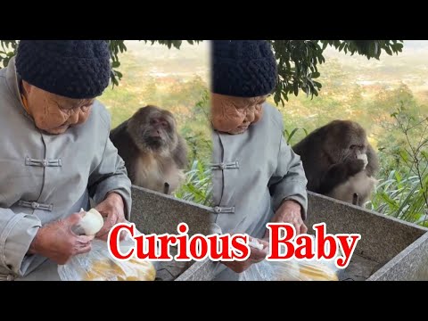 Xingxing Really Wants Xingxing! The Nun Really Spoils It!