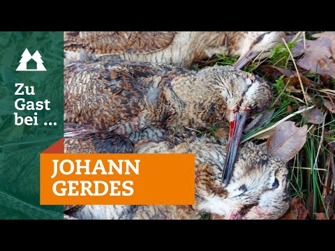 Snipe hunting | "A visit with..." Johann Gerdes | Driven hunt in the moor | Our hunt | Episode 5