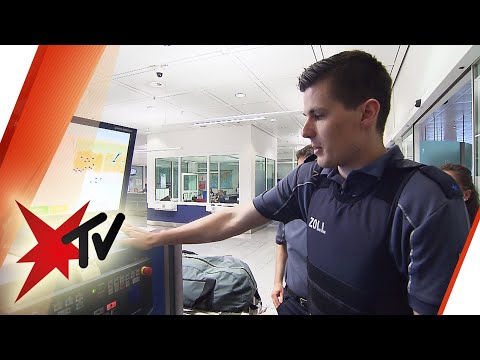 Zoll am Flughafen München im Einsatz: Ausgestopfte Tiere, illegale Waren | stern TV