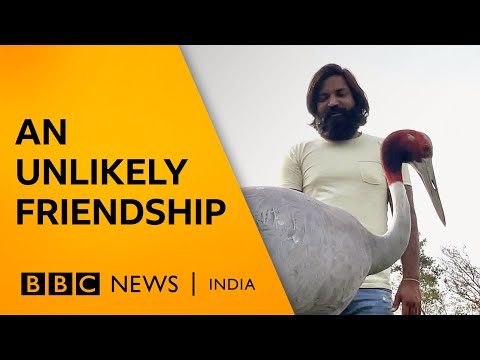 A man-bird friendship that led to an FIR | BBC News India