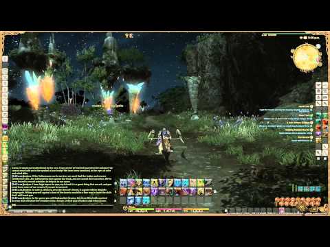 Final Fantasy XIV  A Realm Reborn - Paladin Lv35 Quest - Honor Lost
