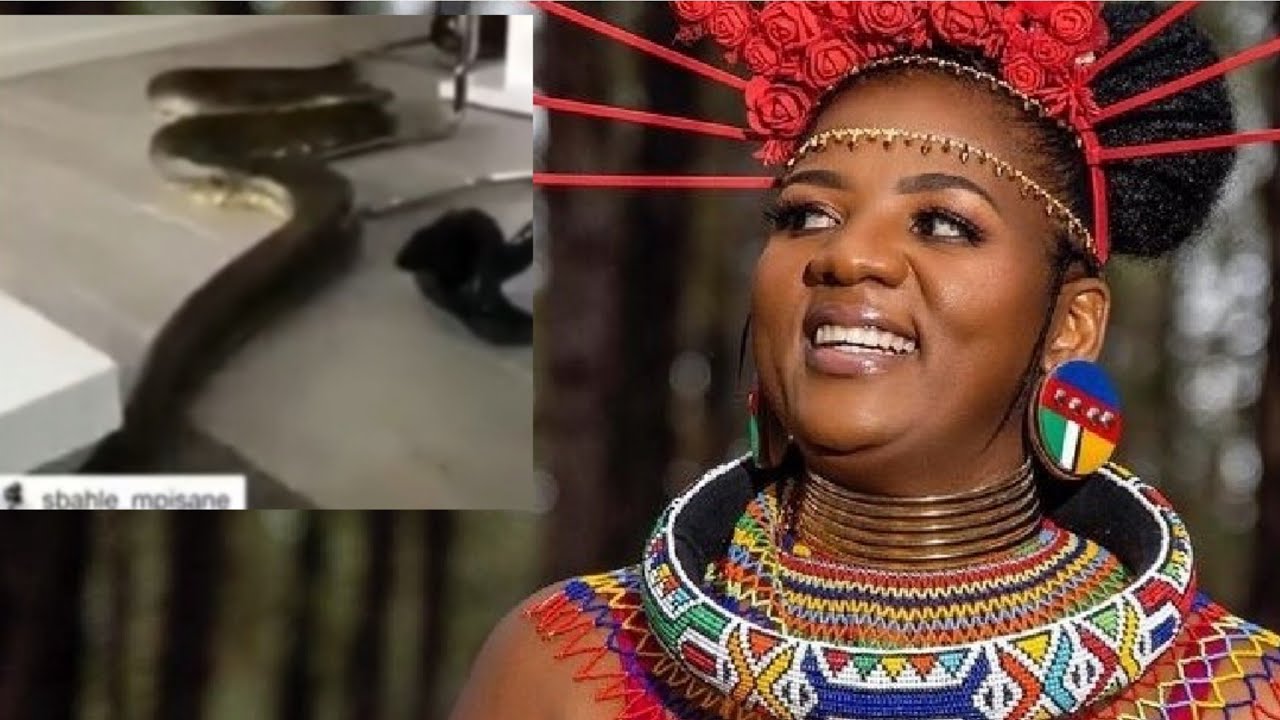 YouTube Thumbnail Downloader FULL HQ IMAGE