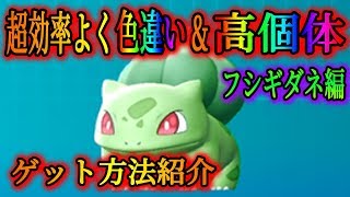 フシギダネ ポケットモンスター カクレオン ネギガナイト コバルオン フシギダネ ポケットモンスター カクレオン ネギガナイト コバルオン