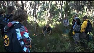 Kauri 2000 Trust final You Tube