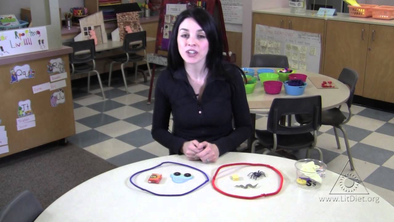 Sound Circles: Sorting Objects to Build Phonemic Awareness (Virtual Tour)