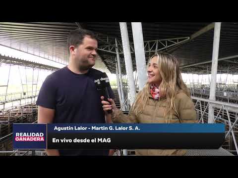 REALIDAD GANADERA - Agustin Lalor (28-11-25)