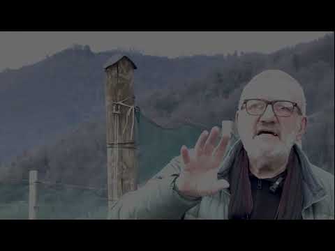 Quadrivio e Natura - Uscita didattica Valdobbiadene