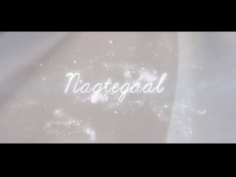 Gabi Swanepoel - Nagtegaal (Lirieke Video)