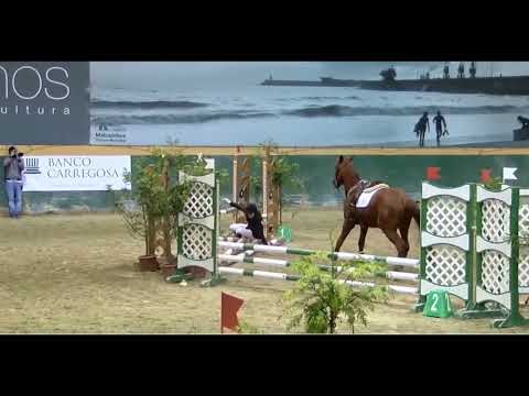 Horse fails and falls (03) show jumping edition 💖