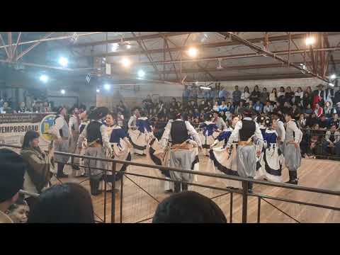 GN IBIRAPUITÃ ADULTA SARAU - BALAIO