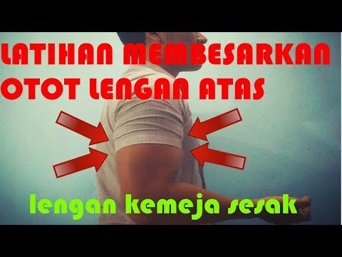 Cara Membentuk Otot Sayap Tanpa Alat Fitnes - Seputar Bentuk