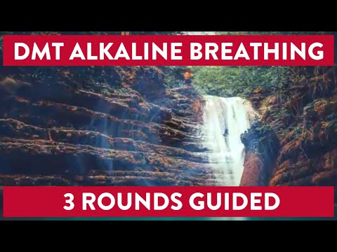 DMT Alkaline Breathing (3 Guided Rounds)