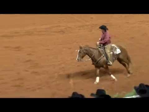 Jacks Little Step #1932