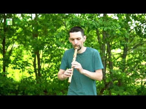 Low whistle G key ashwood - HarmonyFlute workshop