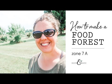 How to Make a Food Forest | Zone 7A