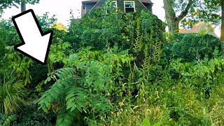 SHOCKING Discovery FOUND BURIED under Overgrown Grass in City Park