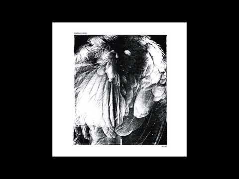 Domenico Crisci - Valzer [BOP018]