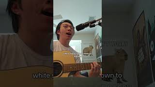 wildflowers🌸soccer mommy #cover #indiemusic