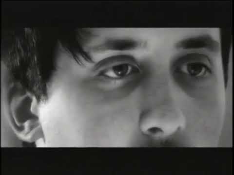 The Walkmen - We've Been Had (Official Music Video)