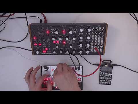 0x1507 subharmonicon day 2 | ambient patch | subharmonicon + volca bass + po-32 tonic