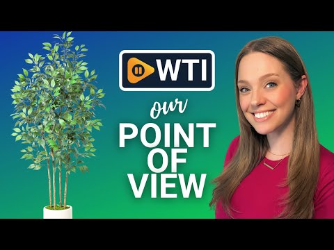 Artificial Ficus Tree - WTI product video review