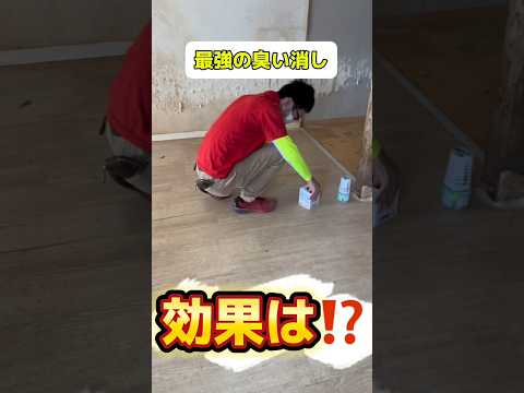 臭いを追跡した