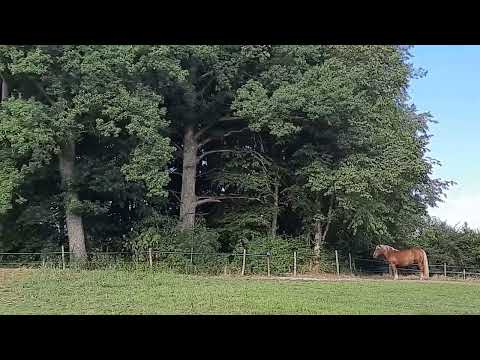 Menschen Hoffnung geben