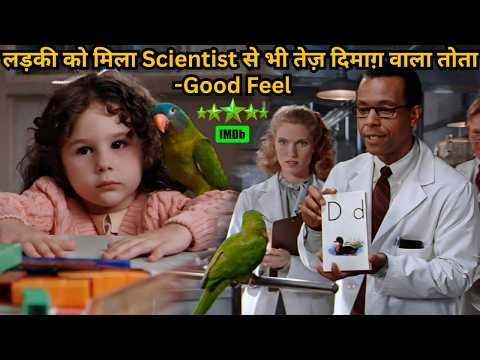 Mr Hindi Rockers and 2 more