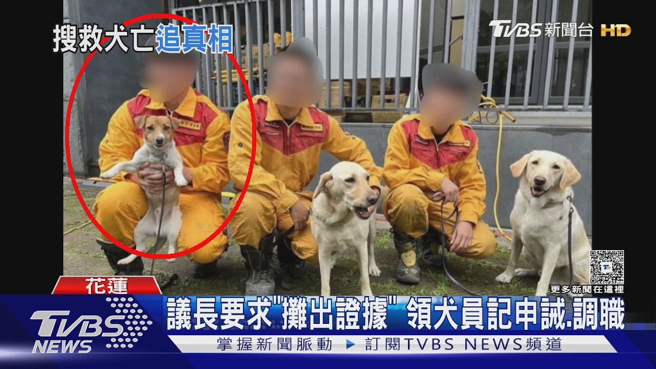 Wilson不是摔死？吹哨者爆「遭踹虐待」　更控高層下令封口